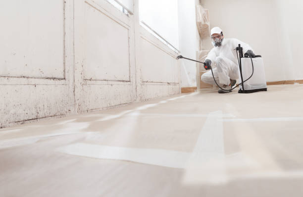 24/7 Emergency Mold Remediation experts in Manassas, VA